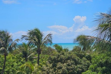 Apartamento Grande Família